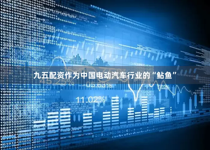 九五配资作为中国电动汽车行业的“鲇鱼”