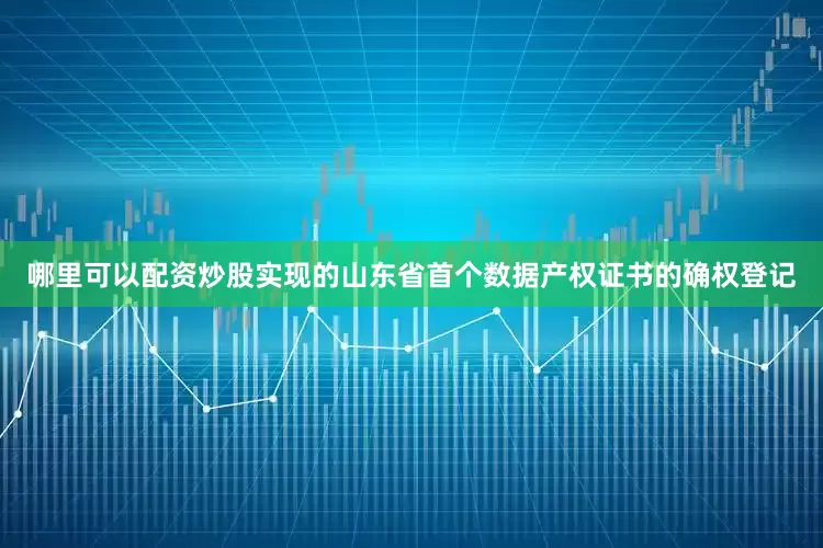 哪里可以配资炒股实现的山东省首个数据产权证书的确权登记