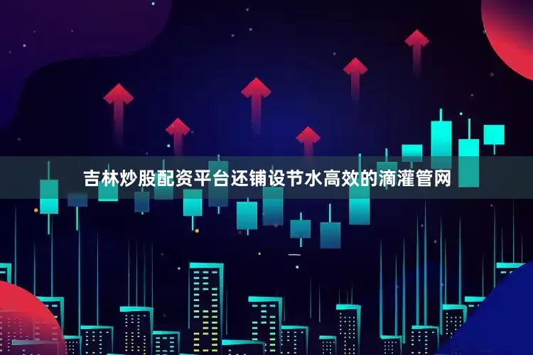 吉林炒股配资平台还铺设节水高效的滴灌管网
