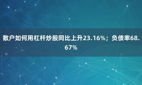 散户如何用杠杆炒股同比上升23.16%；负债率68.67%