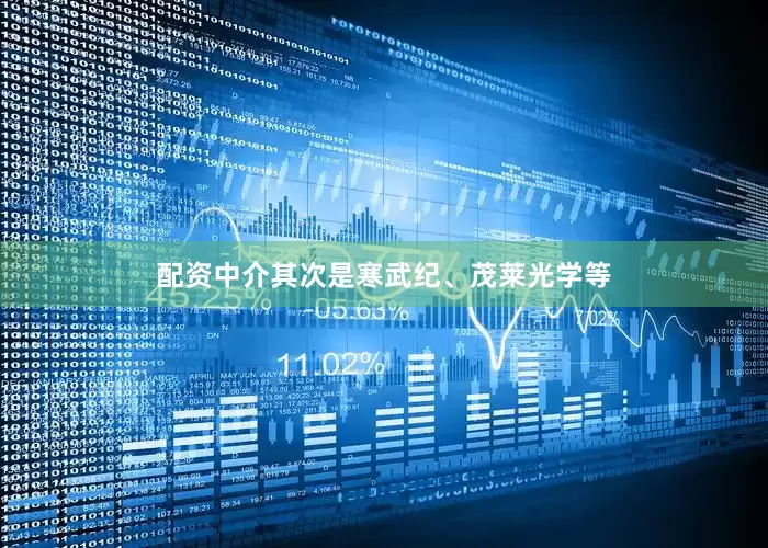 配资中介其次是寒武纪、茂莱光学等