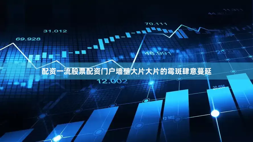 配资一流股票配资门户墙壁大片大片的霉斑肆意蔓延