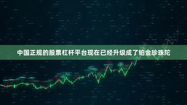 中国正规的股票杠杆平台现在已经升级成了铂金珍珠陀